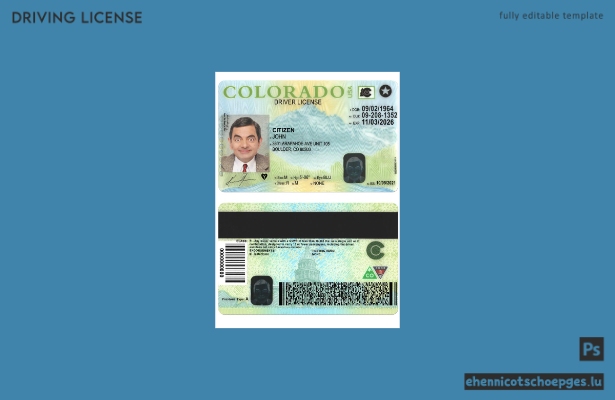 USA Colorado Führerschein Version 2 – Beispielvorschau